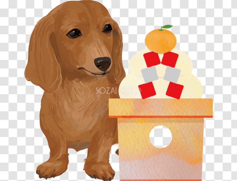 Golden Retriever Puppy Dachshund Dog Breed Companion - Snout - Illust Transparent PNG