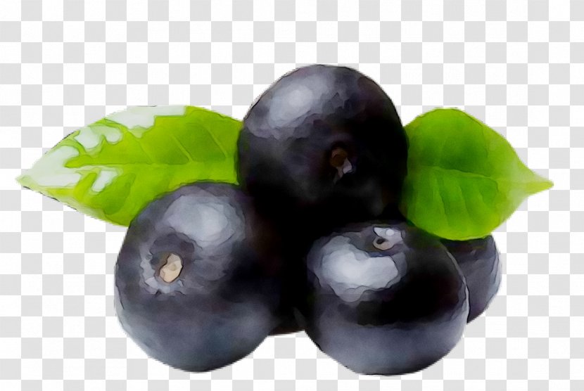 Cocktail Acai Berry Health Food Fruit - Prune Transparent PNG