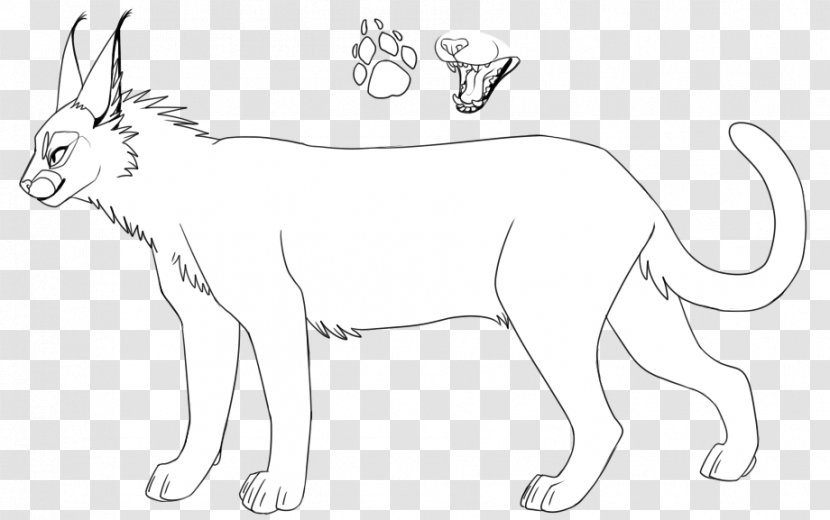 Whiskers Cat Hare Line Art Tail - Wing Transparent PNG