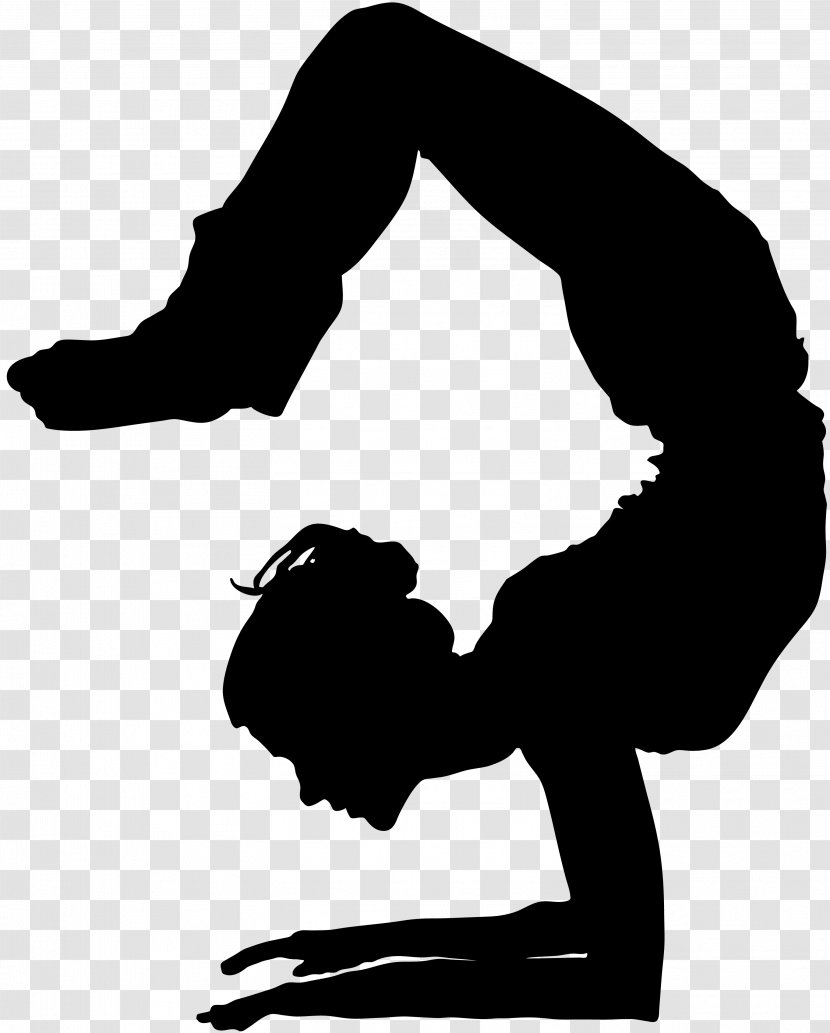 Yoga Physical Fitness Exercise Asana - Black And White - Gastrointestinal Transparent PNG