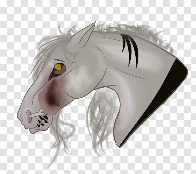 Horse Jaw Snout Transparent PNG