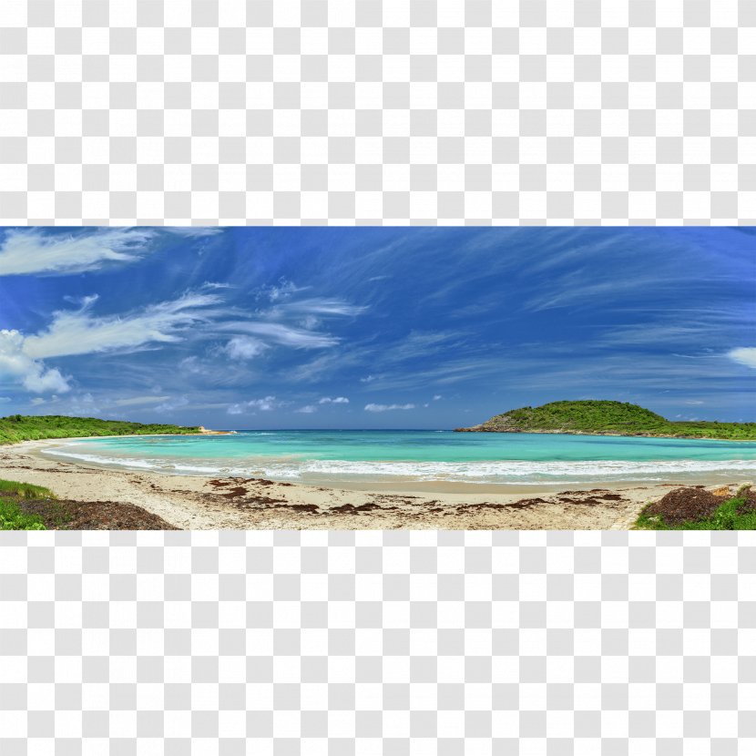 Shore Sea Beach Work Of Art Coast Transparent PNG