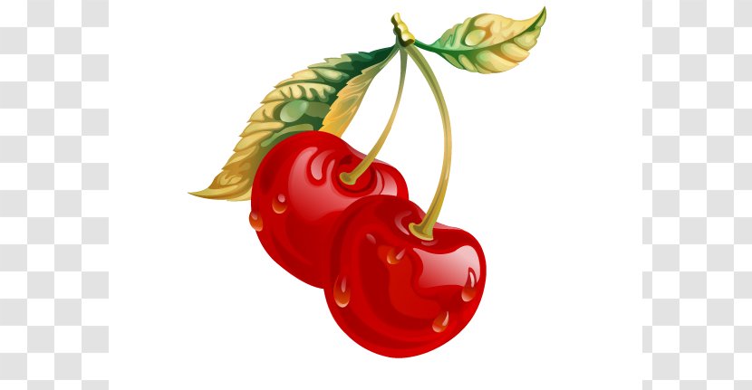 Cherry Clip Art Drawing Image - Strawberry Transparent PNG