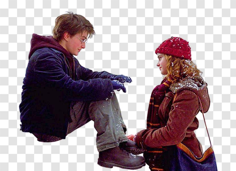 Hermione Granger Ron Weasley Harry Potter Dudley Dursley Film - J K Rowling - Quidditch Transparent PNG