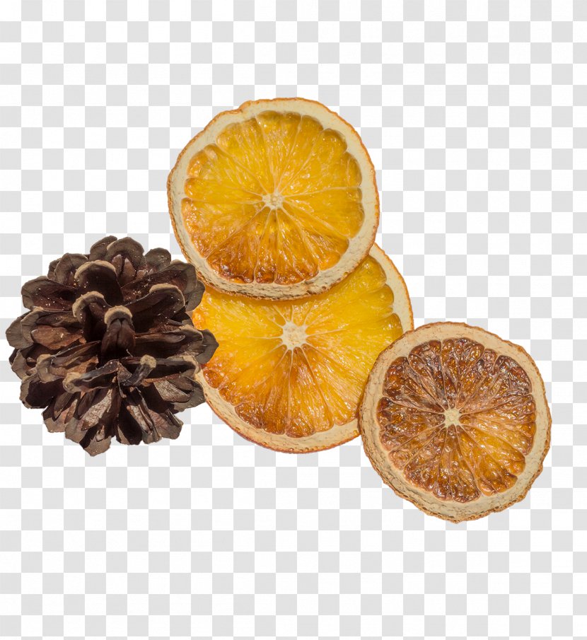 Orange Slice Download - Citrus Xd7 Sinensis - Lemon Echinacea Transparent PNG
