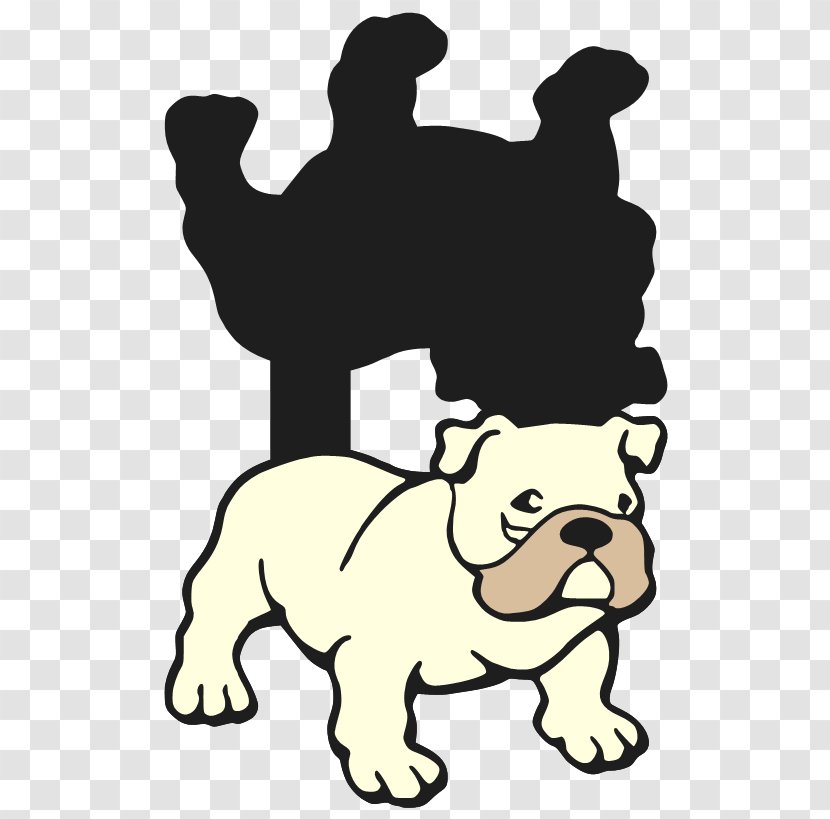 Bulldog Puppy Boxer Cat Beagle Transparent PNG