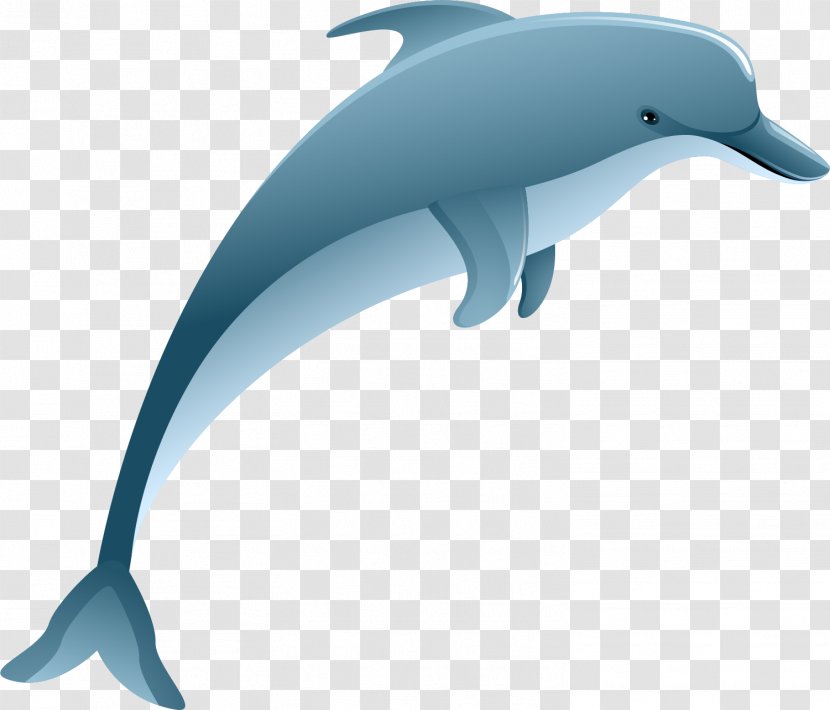 Common Bottlenose Dolphin Tucuxi Rough-toothed Short-beaked Spinner - Fin - Cartoon Blue Transparent PNG