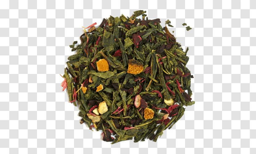 Sencha Nilgiri Tea Kukicha Green - Ceylon - Red Grapefruit Transparent PNG