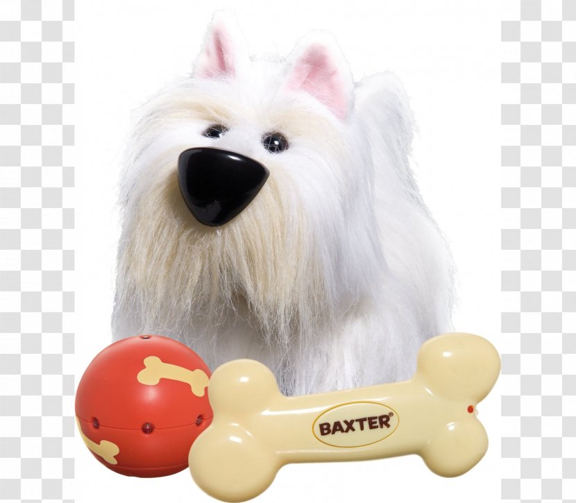Dog Toy Child Puppy Ball Transparent PNG