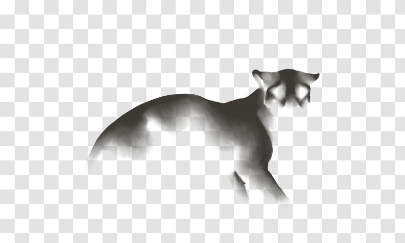 Whiskers Cat Dog Canidae Snout - Carnivoran - Black And White Lion Transparent PNG