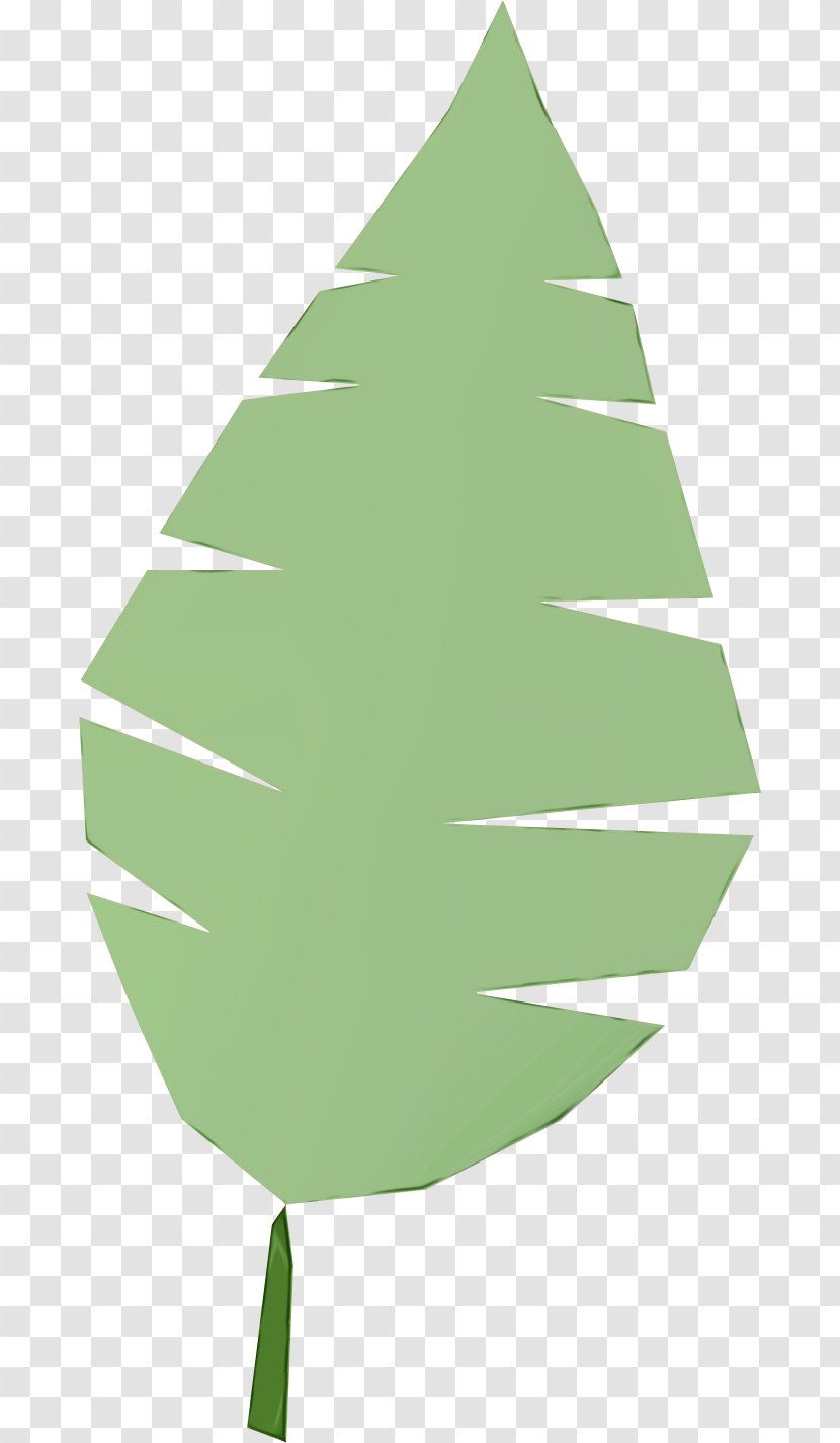 Christmas Tree Branch - Leaf - Colorado Spruce Interior Design Transparent PNG