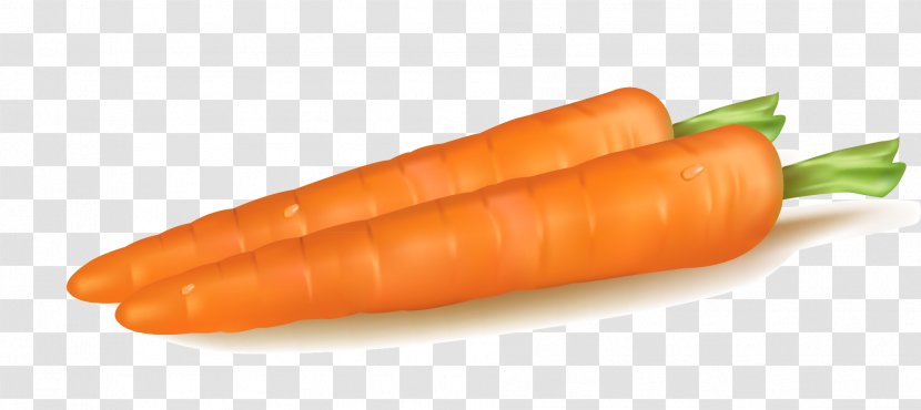Baby Carrot Vegetable Transparent PNG