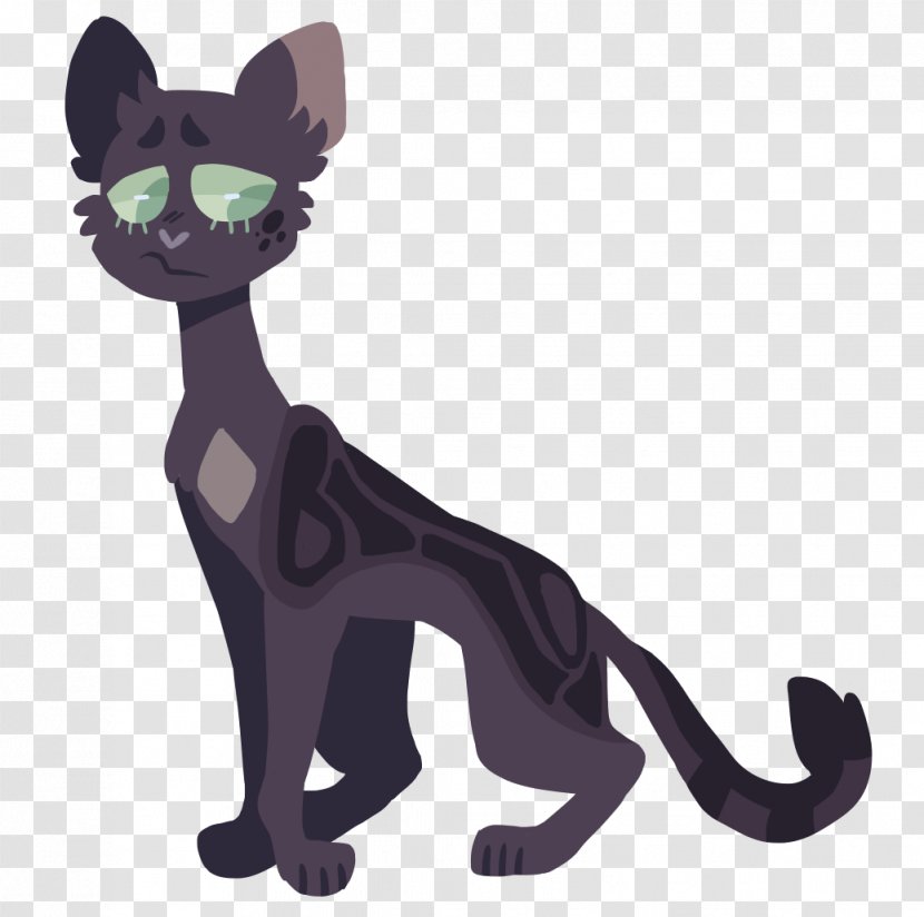 Kitten Cat Whiskers Tigerstar ThunderClan Transparent PNG