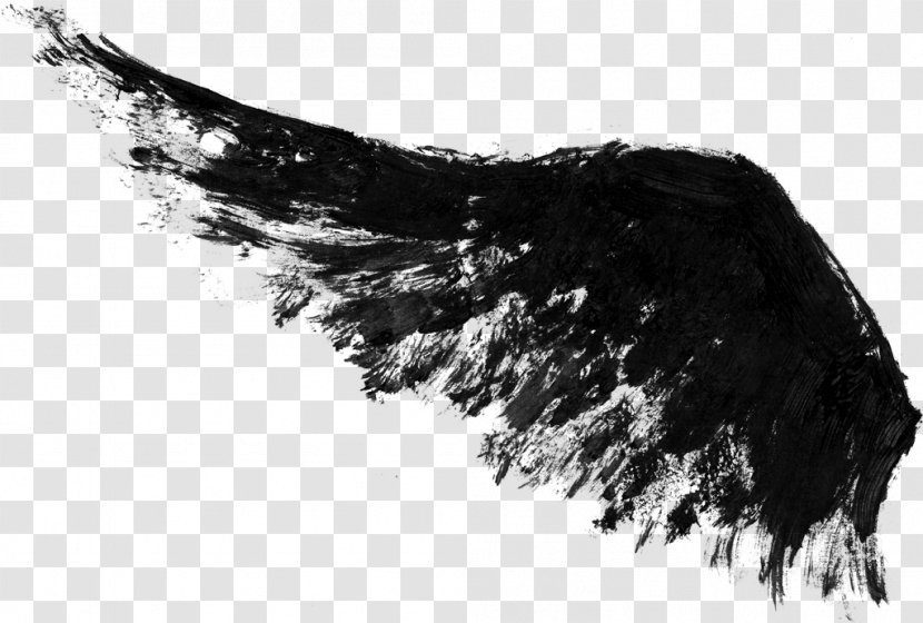 Black And White Ink Wing - Paint Transparent PNG
