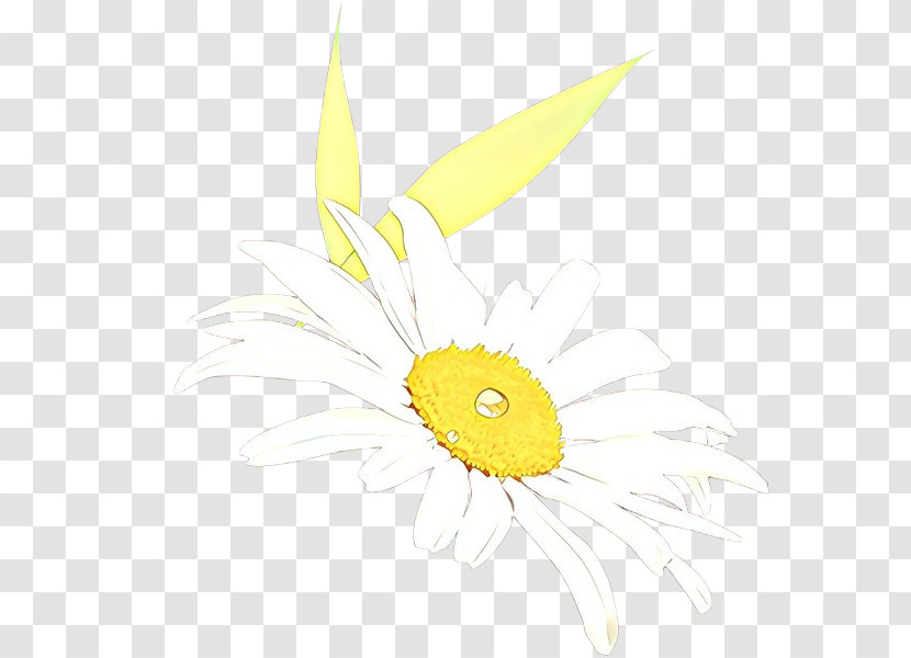 Sunflower Transparent PNG