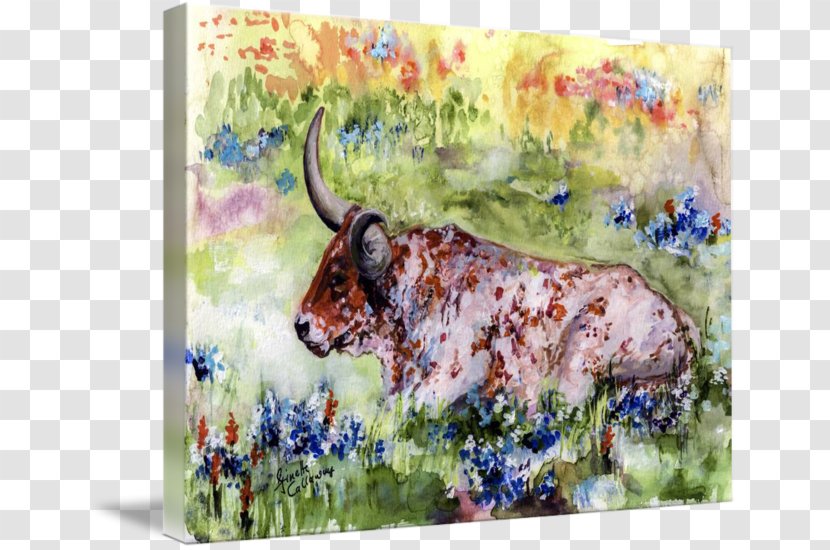 Texas Longhorn Watercolor Painting Art Canvas Print - Meadow Transparent PNG