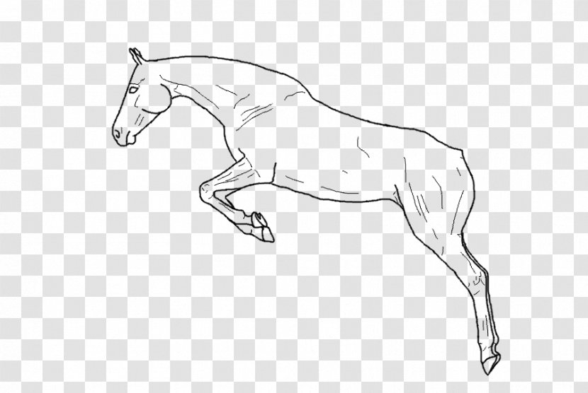 Mule Arabian Horse Foal Mustang Stallion - Monochrome Photography - Leaping Clipart Transparent PNG