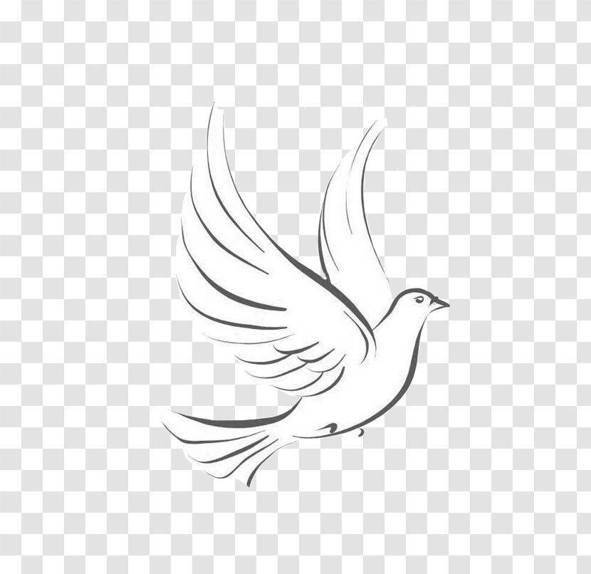 Line Art Pigeons And Doves Drawing Japari School Graphics - Pencil Transparent PNG