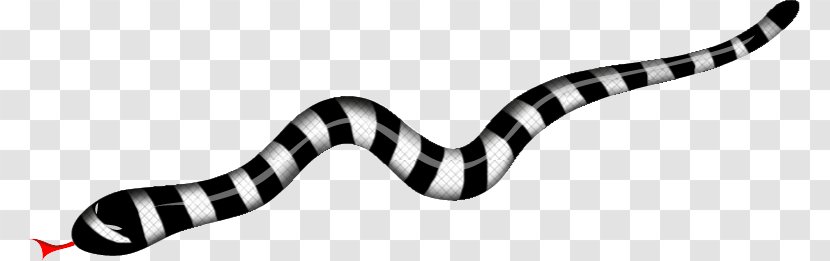 Reptile Coral Reef Snakes Drawing - Animal Figure - Snake Transparent PNG