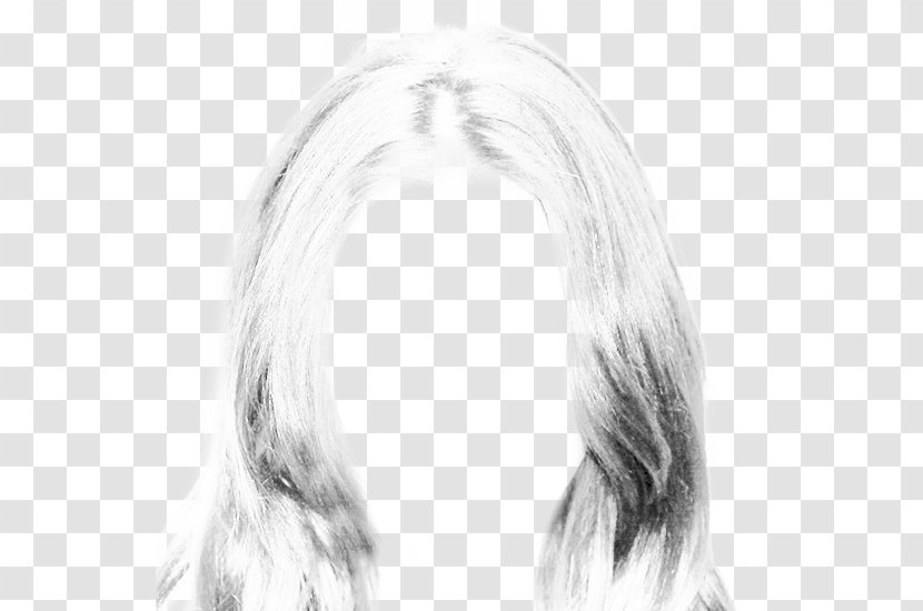 Long Hair Hairstyle Canities - White - Style Transparent PNG
