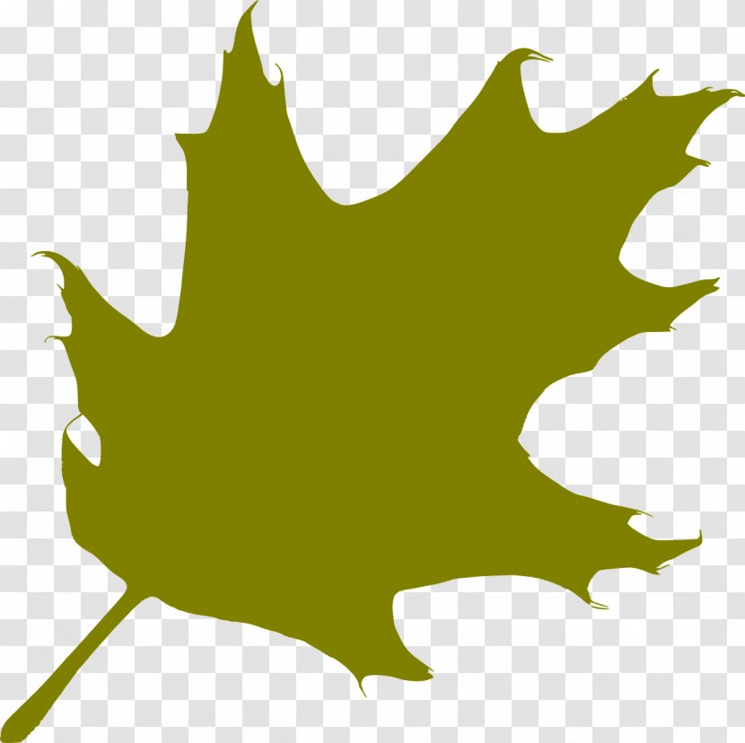 Oak Silhouette Leaf - Autumn Color Transparent PNG