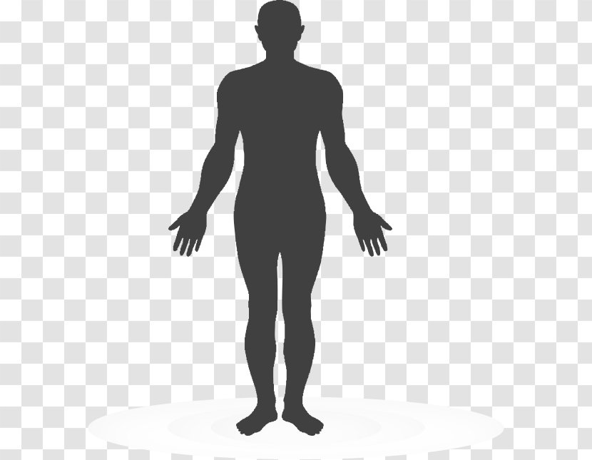 Human Body Royalty-free - Flower Transparent PNG