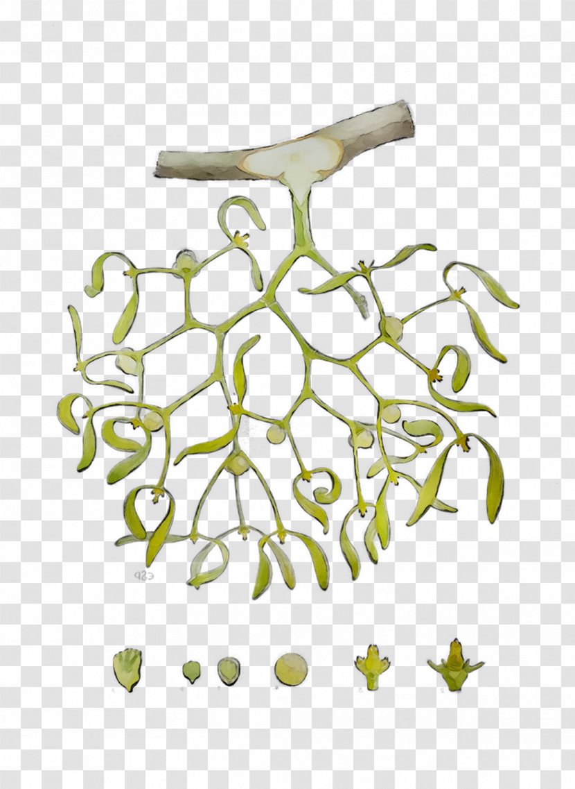 Twig Plant Stem Leaf Flower Product Design - Body Jewellery Transparent PNG