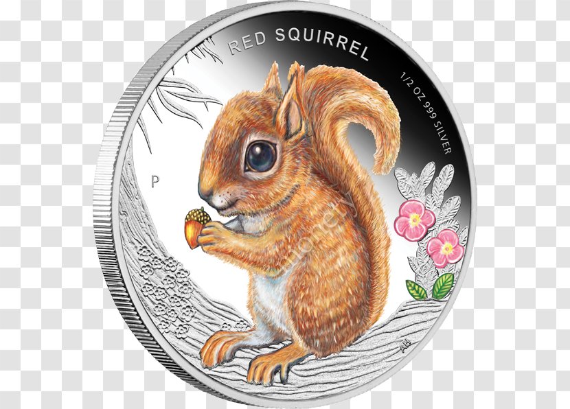 Perth Mint Silver Coin Gray Wolf - Squirrel Transparent PNG