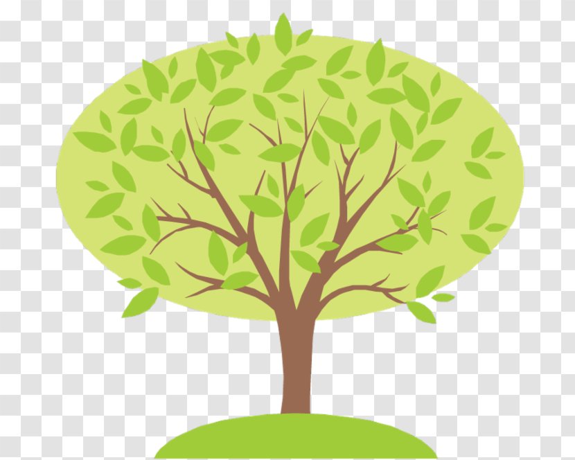 Your Family Tree Genealogy Reunion - Branch Transparent PNG