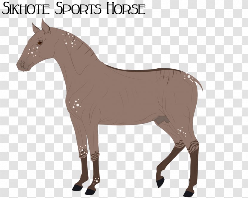 Mule Mustang Stallion Foal Colt - Yonni Meyer Transparent PNG