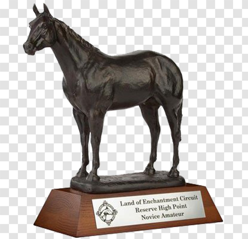 Stallion Shire Horse Baloubet Du Rouet Akhal-Teke Mare - Sport - Bronze Trophy Transparent PNG