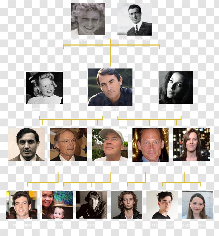 Family United States Shane Donovan Father Genealogy Transparent PNG