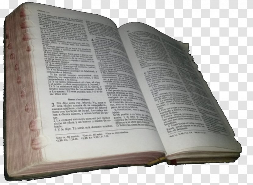 Book Of Revelation Bible Theology Prophet - Christianity Transparent PNG