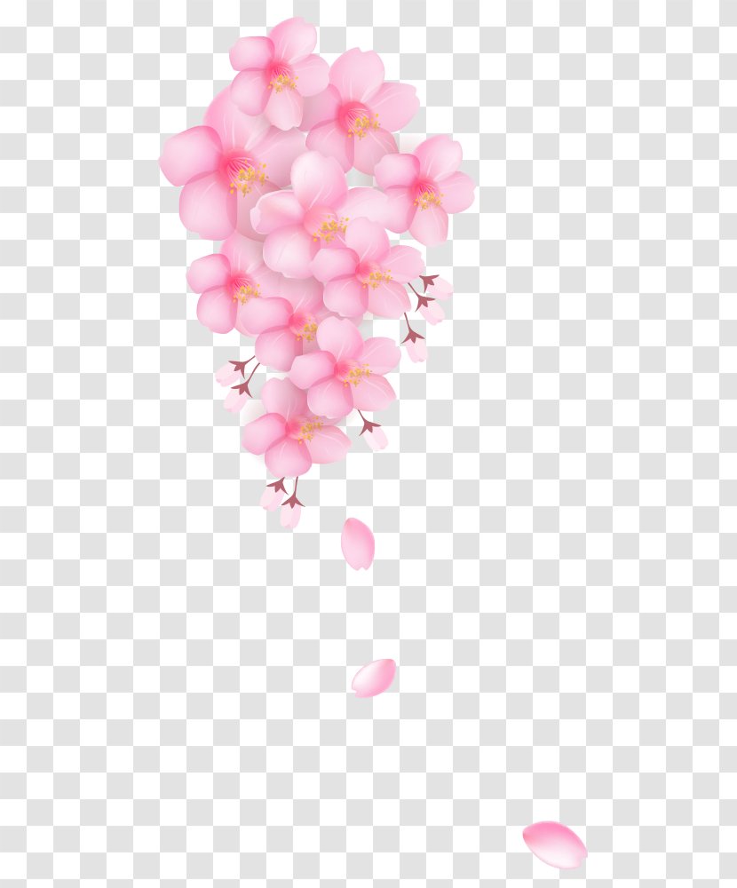 Cherry Blossom Clip Art - Moth Orchid - Beautiful Creative Decorative Buckle Free Transparent PNG