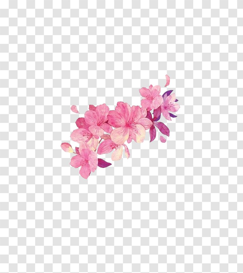 Flower Watercolor Painting - Watermark - Free Pink Matting Transparent PNG