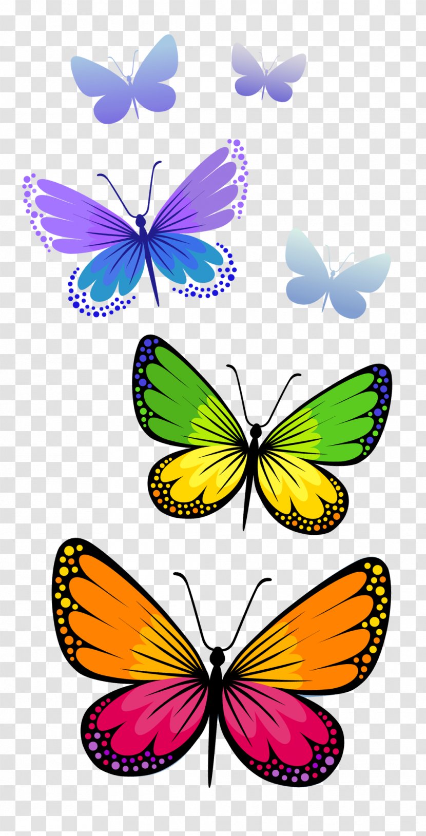 Butterfly Clip Art - Pieridae - Butterflies Composition Clipart Image Transparent PNG