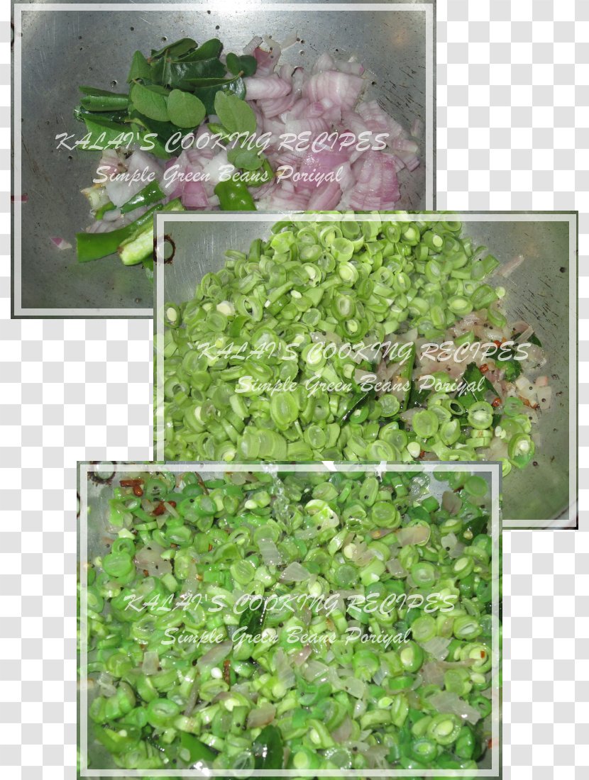 Herb Groundcover Lawn Shrub - Leaf Vegetable - Grass Transparent PNG