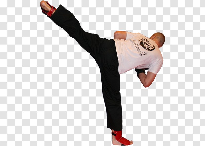 Kickboxing Sanshou Wing Chun Boxing Glove Kolding - Kung Fu Transparent PNG