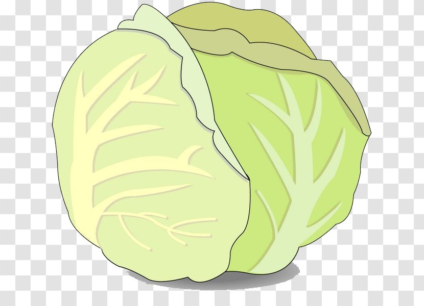 Cabbage Chemical Element Clip Art - Plant - Cartoon Transparent PNG