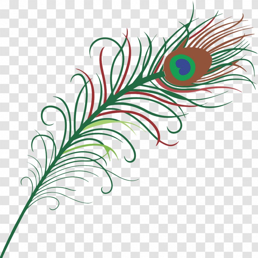 Feather Pavo Clip Art - Plant Stem Transparent PNG