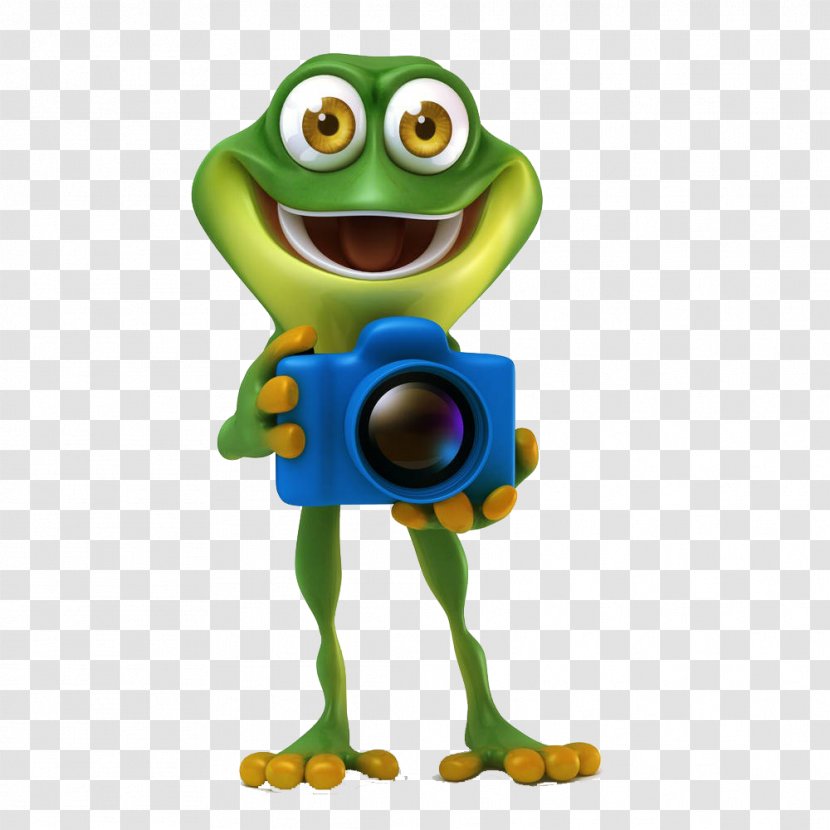 Frog Stock Photography Royalty-free Illustration - Holding The Camera's Transparent PNG