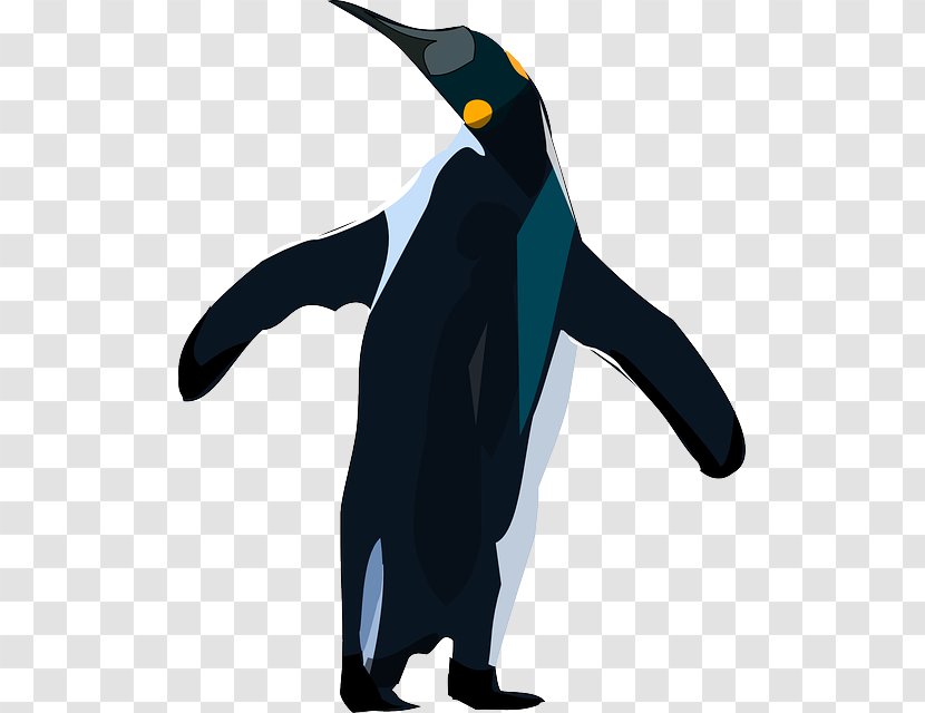 King Penguin Bird Clip Art - Animal Transparent PNG
