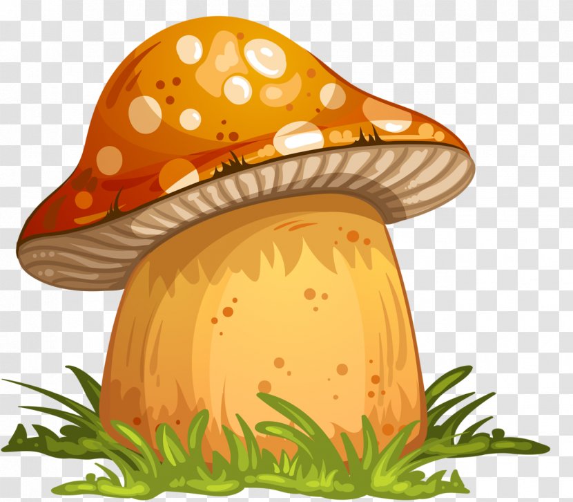 Vector Graphics Clip Art Stock Photography Illustration Edible Mushroom - Hat Transparent PNG