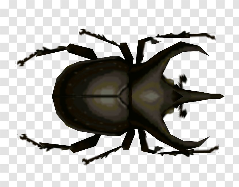 Japanese Rhinoceros Beetle Animal Crossing: City Folk Dung Atlas - Scarab Transparent PNG