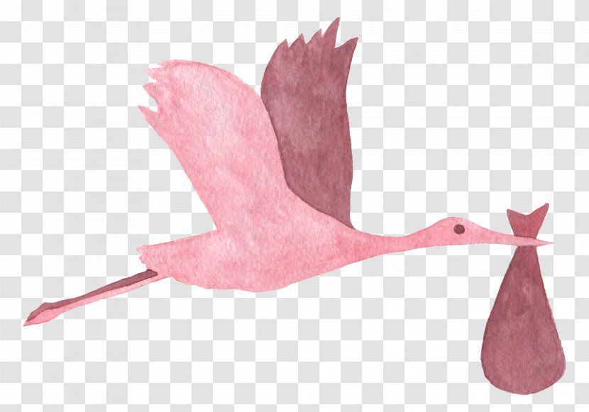 Watercolor Painting Infant Baby Shower Creative Market - Pink Crane Transparent PNG