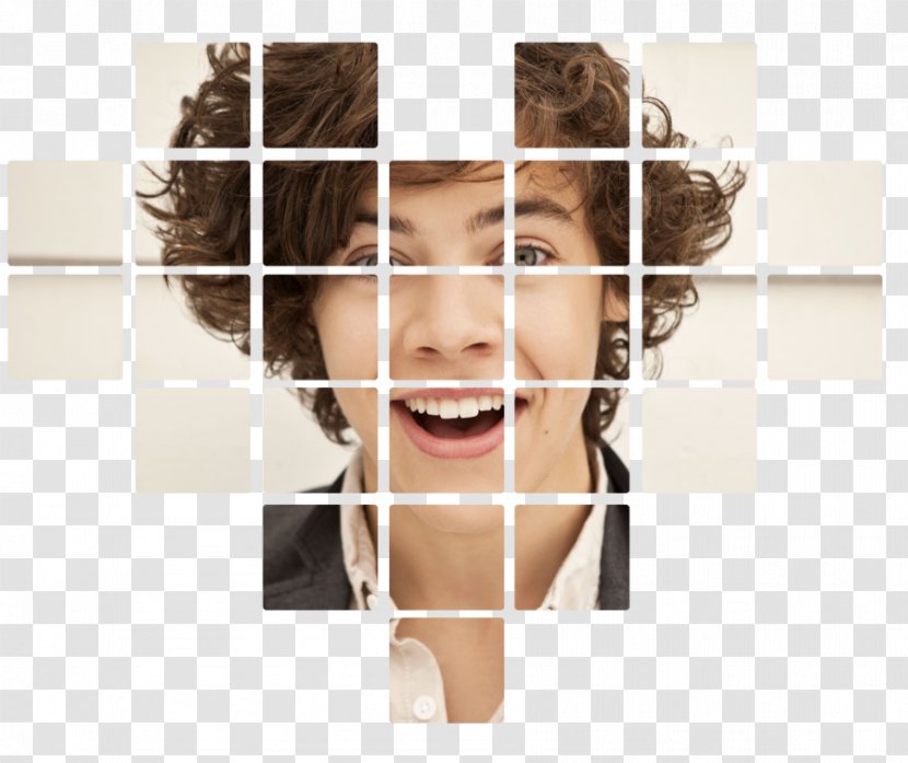 Harry Styles One Direction Boy Band T-shirt Online And Offline - Tree - Mini Transparent PNG