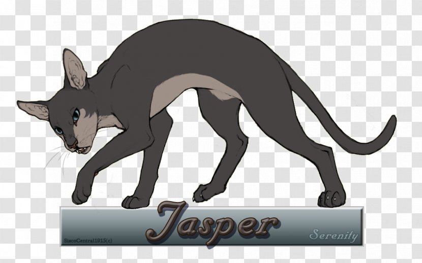 Cat Macropods Mammal Dog Illustration - Tail - Oriental Shorthair Transparent PNG