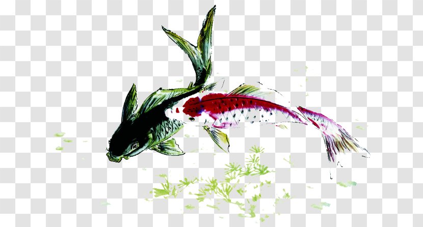 Koi Fish Carp Ink - Paint - Pisces Play Transparent PNG