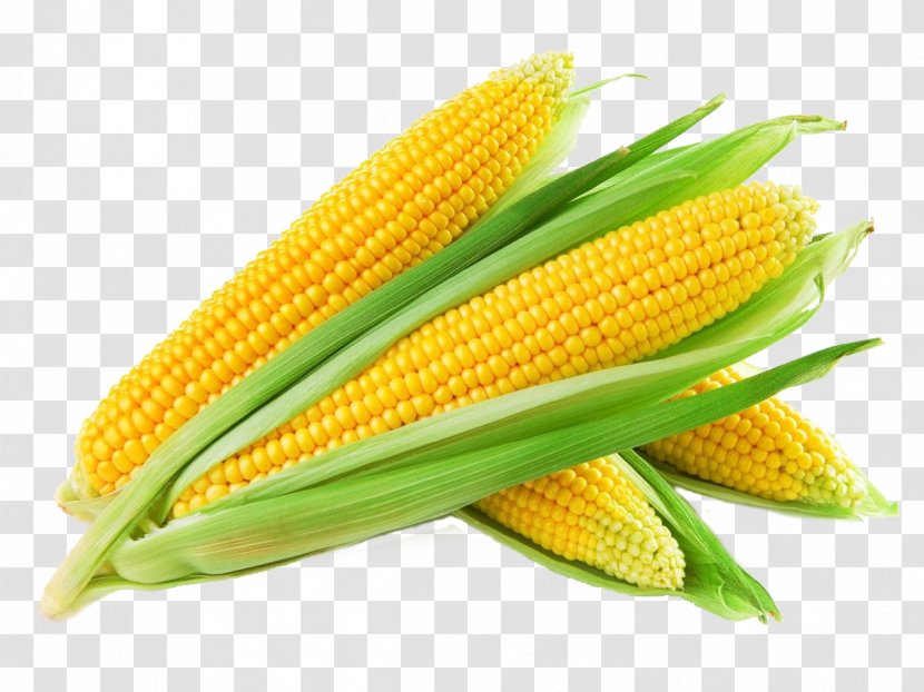Sweet Corn Maize Kernel Cereal Grain - Kernels - Semolina Transparent PNG
