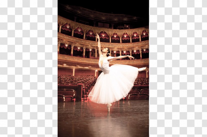 Interdance Münster Ballet Dancer Vienne - Lighting - Texas Theater School Transparent PNG